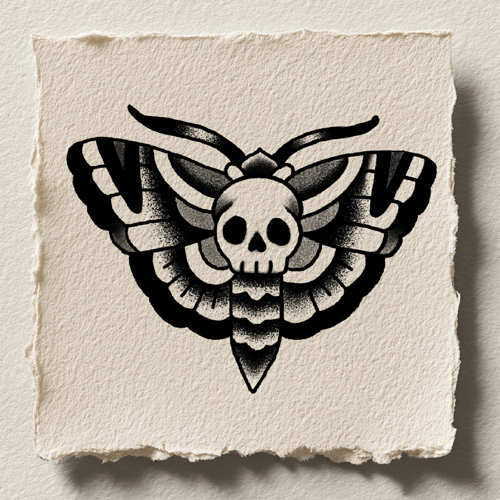 Death's head moth with skull