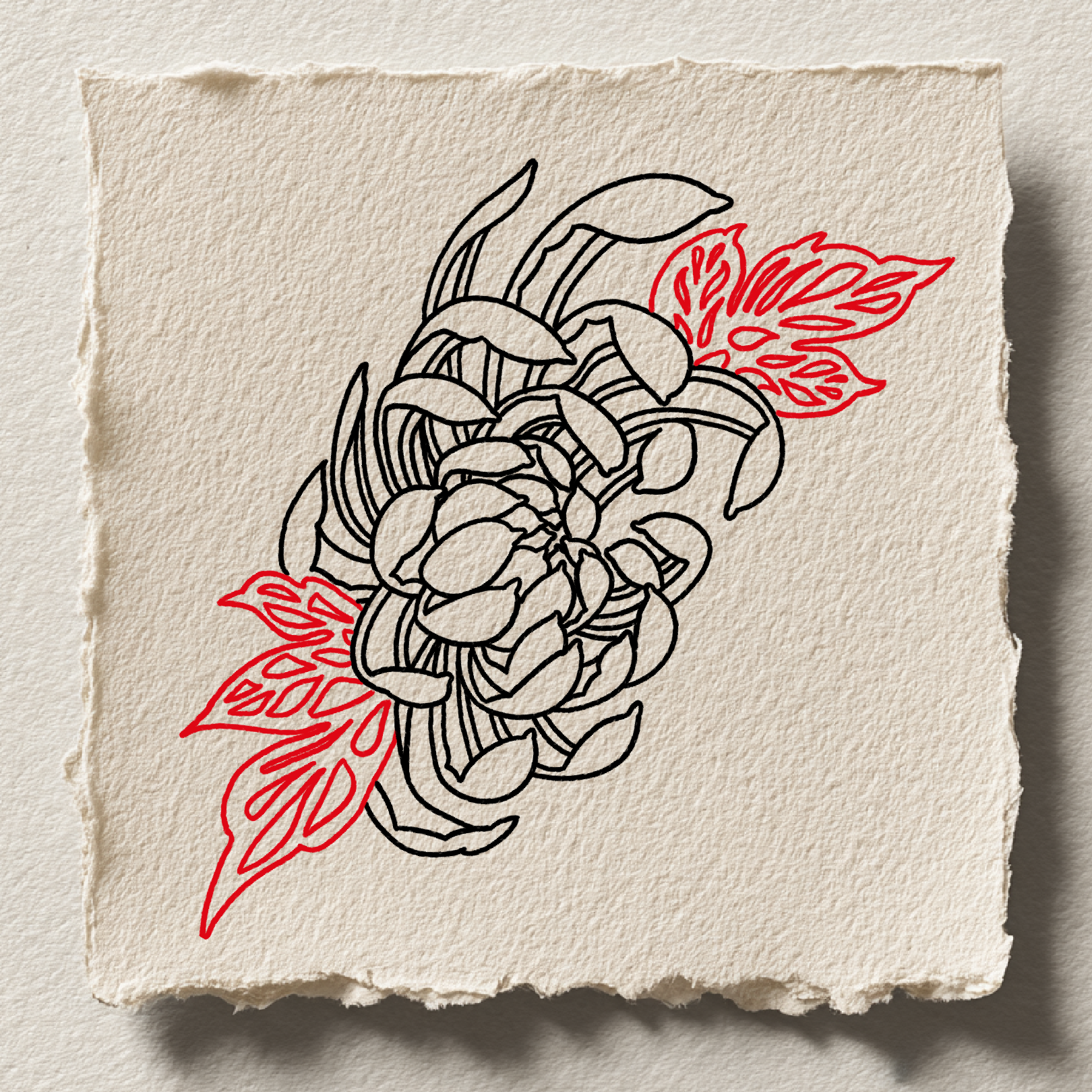 Large peony with red accent leaves