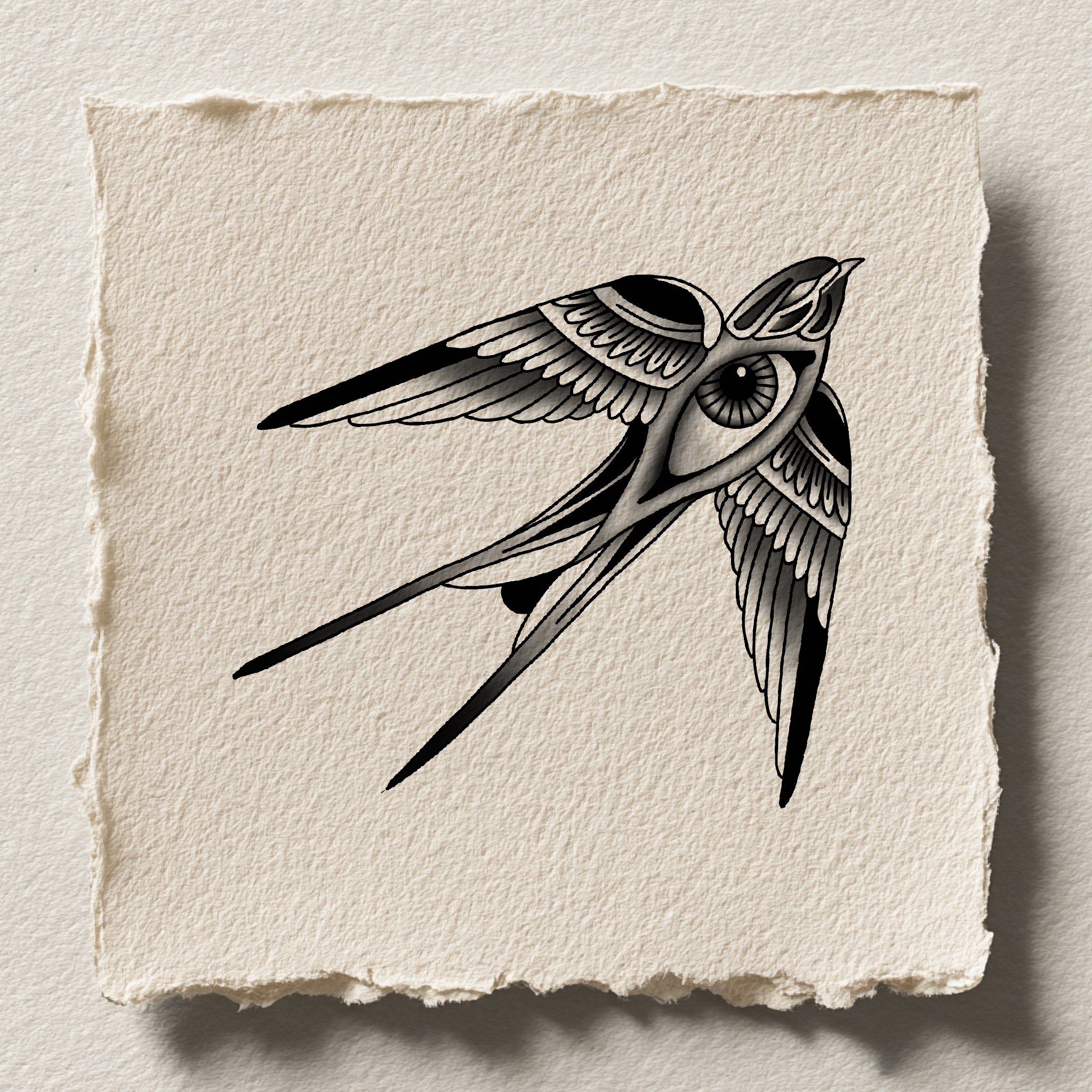 Traditional swallow in flight with detailed wings